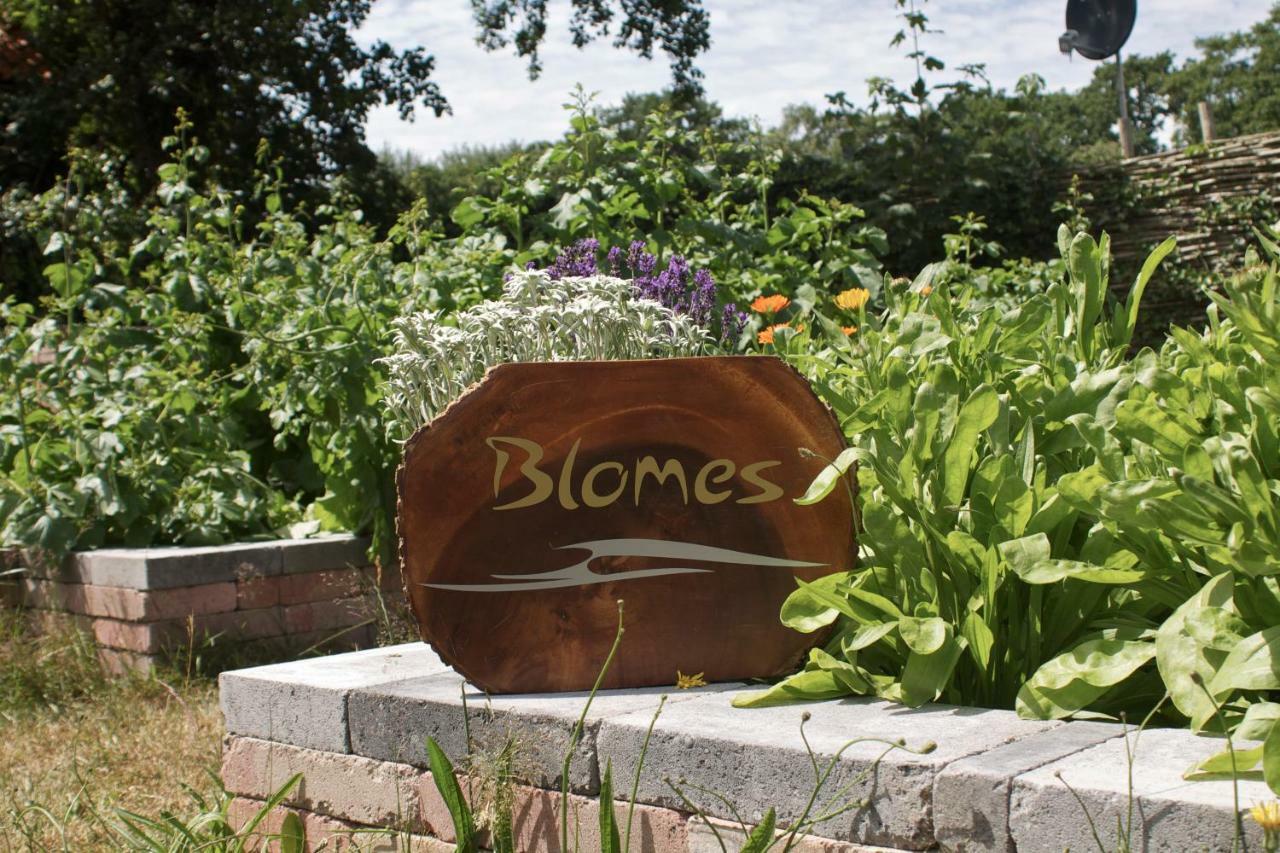 グルート Blomesヴィラ エクステリア 写真