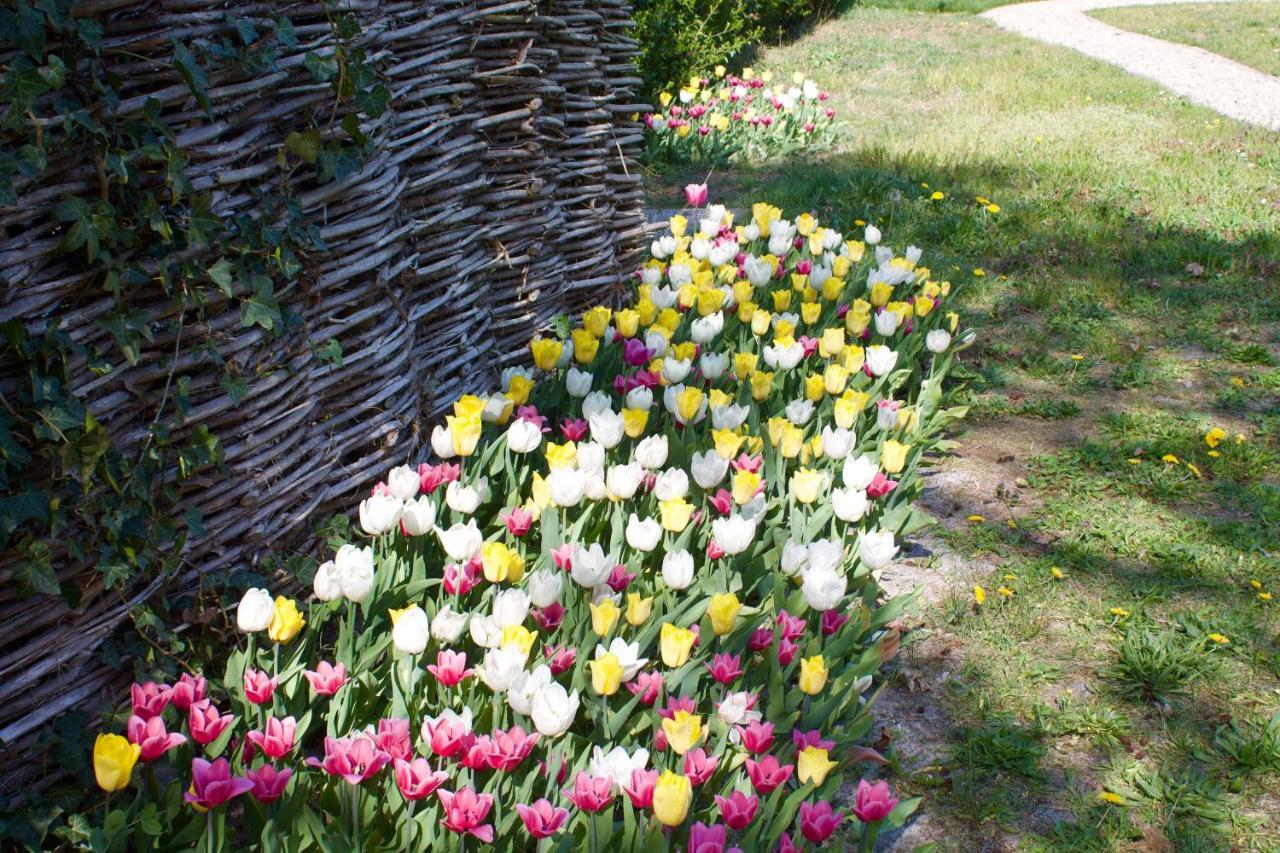 グルート Blomesヴィラ エクステリア 写真